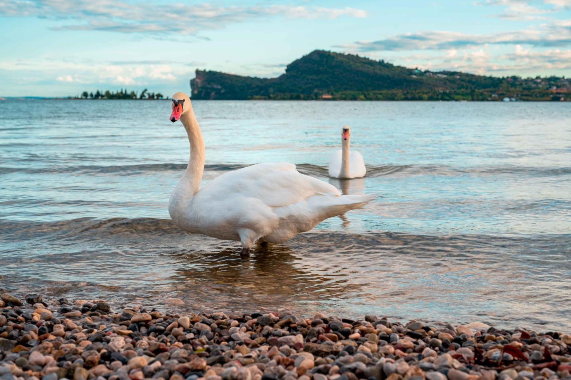 San Carlo Appartamenti Vacanze Soiano Del Lago Buitenkant foto